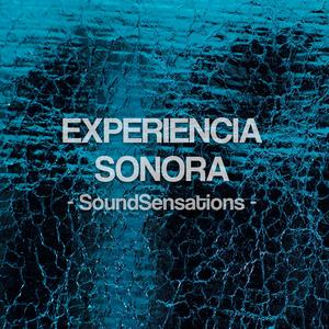 Experiencia Sonora