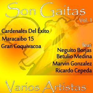 Viejo Año (feat. Betulio Medina)