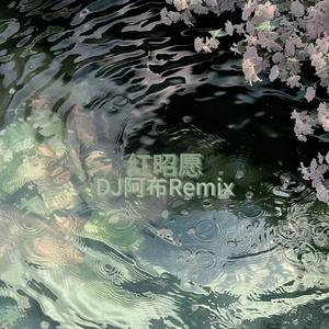 红昭愿 (DJ阿布Remix)