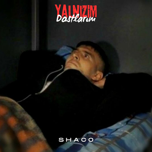 Yalnızım Dostlarım