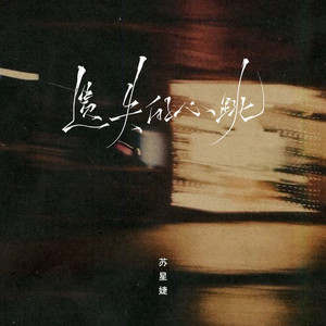 遗失的心跳 (0.8x版)