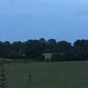 what if it was the same but different 2