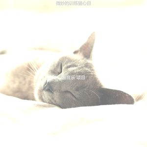 温和训练猫梦想