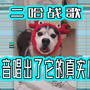 二哈的电音生活