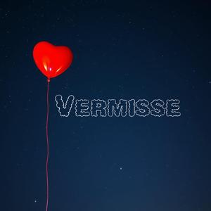 Vermisse