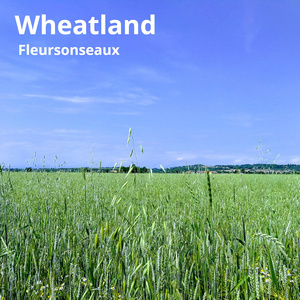 Wheatland