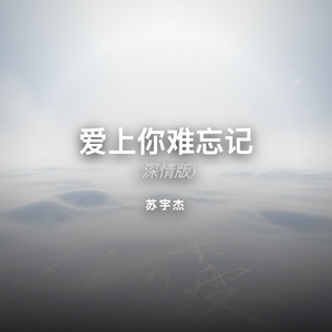 爱上你难忘记 (深情版)-苏宇杰