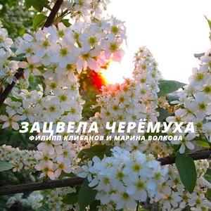 Зацвела черёмуха