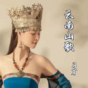 半途恋情如梦幻