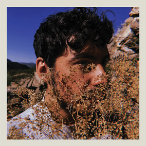 guerrilla de dientes entre los árboles