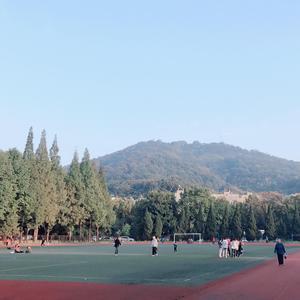 紫金 梦醒 仙林