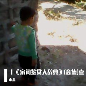 ⅩⅩⅨ宋词鉴赏大典（贰拾玖）满江红、一丛花·初春病起、归朝欢、木兰花令、临江仙、临江仙·送王缄