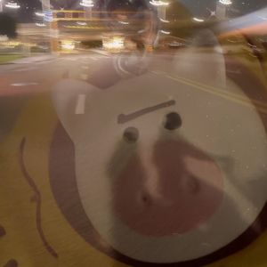 童年的快乐猪猪