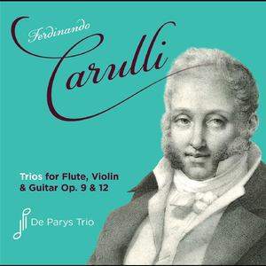 Trio in D Major, Op. 12: III Thema De Pleyel - Andante