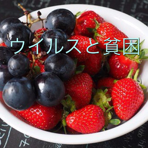 ウイルスと貧困