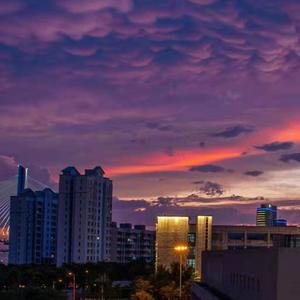 没你的梦（prod by FRESH_ye&Lion_Z）