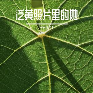 鲸鱼唱低音摇篮曲