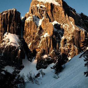 为什么要这样对我