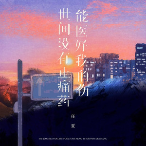 世间没有止痛药能医好我的伤