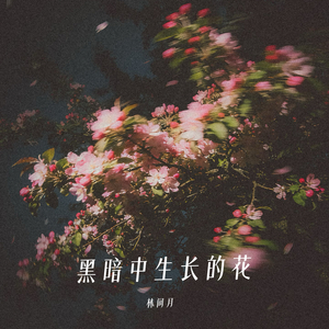 黑暗中生长的花