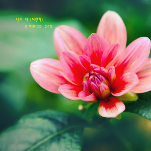 나의 너 (자장가)