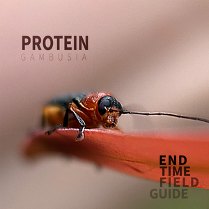Protein