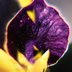 Independently Together