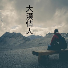 大漠情人