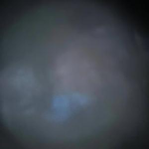 I don't believe in wasting teardrops