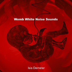 Womb White Noise Sounds (Sleep Instantly Within 3 Minutes) - Loopable
