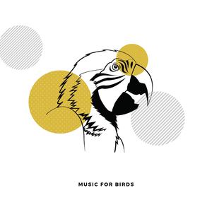 Calming Music For Birds