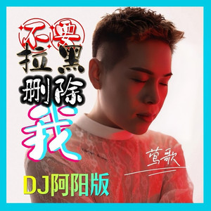 不要拉黑删除我-莺歌 (DJ阿能版|DJ阿阳版)