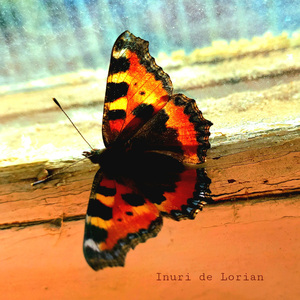 Женщина-кассирша