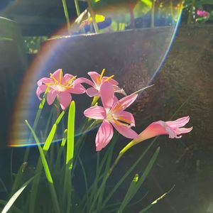 还没见面就分手（Cover 蒋蒋）