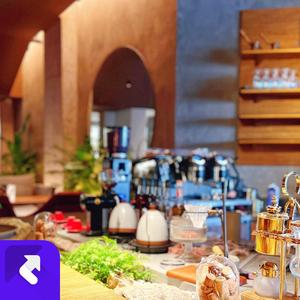 沙发与温牛奶 (现场)