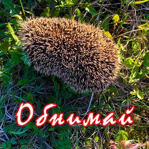 Обнимай
