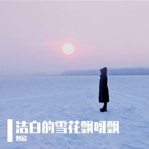 洁白的雪花飘呀飘（DJ版）