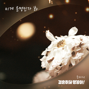 이게 운명인가 봐 (Inst.)
