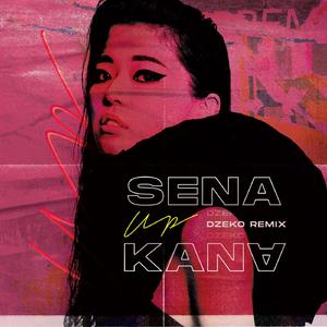 Up (feat. Wiz Khalifa, Sheppard) (Dzeko Remix)