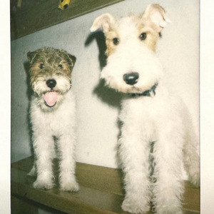 下载您的文件 — Convertio(1)