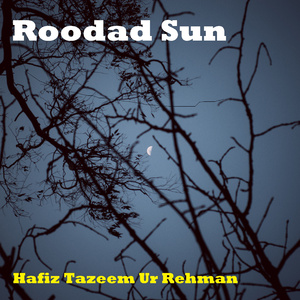 Roodad Sun