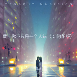 爱上你不只是一个人错 (DJ阿阳版)