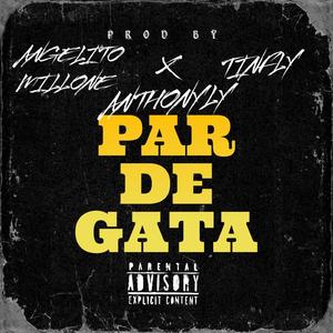 Par de Gatas (feat. Angelito Millones & TinFly)