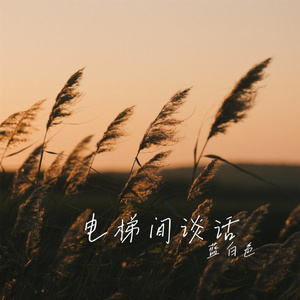 电梯间谈话