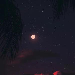 Moon night