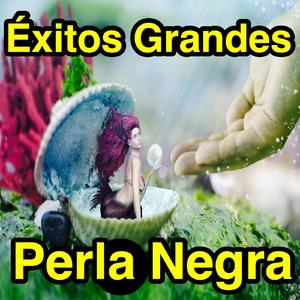 Amorcito