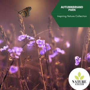 Watching The Hills Burning