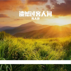 遗憾过客人间