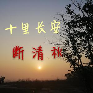 十里长安断清秋（翻自 南雨笙）