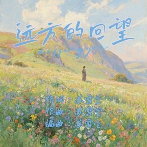 远方的回望
